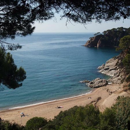 Villa Danlux Leo Tossa de Mar Exterior foto